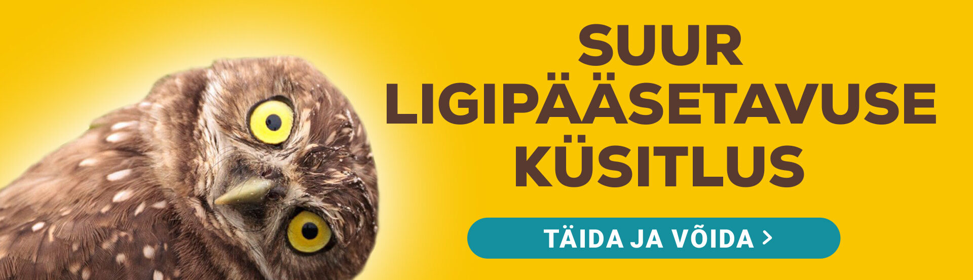 Suur ligipääsetavuse küsitlus!